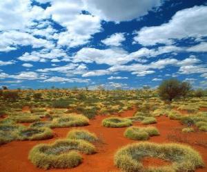 yapboz Avustralya outback